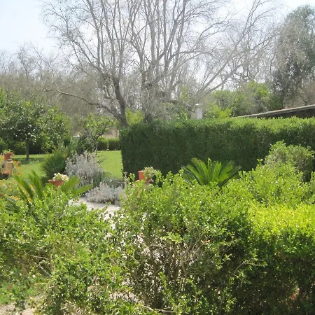 Tenuta Innocenzi